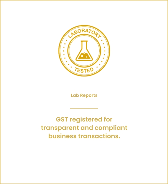 Lab Report