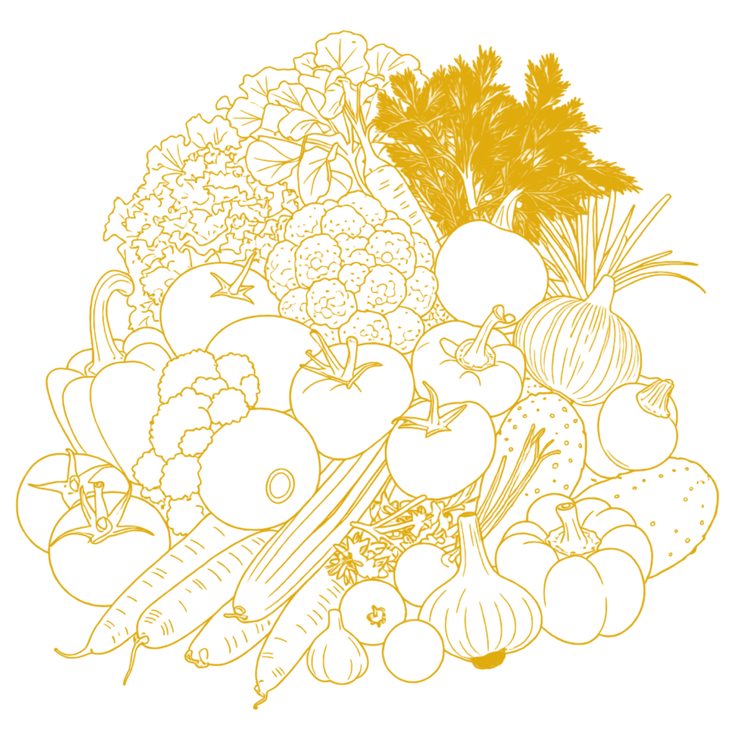 Agricultural Product /
Processed Vegetable Vector